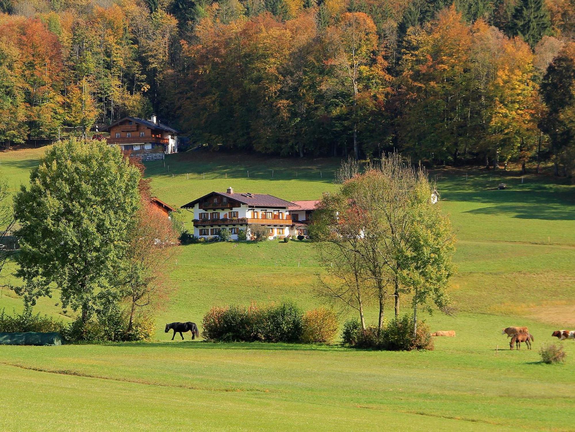 Obergoebllehen Apartment Schoenau am Koenigsee Luaran gambar